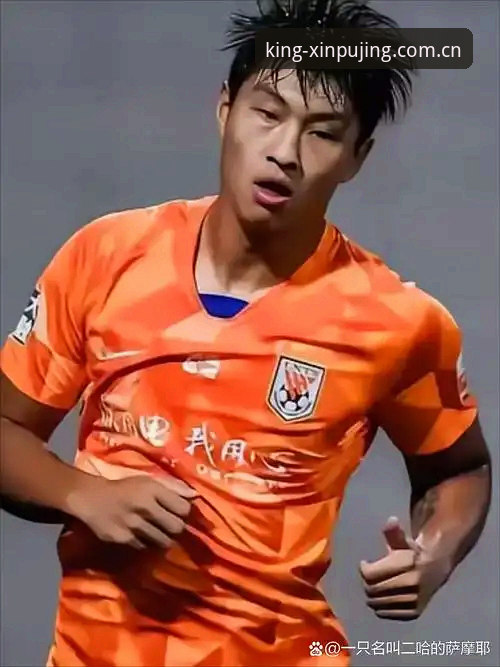 足协禁足名单曝光 vs 新莆京玩家热议：谁才是足球场上的真正赢家？